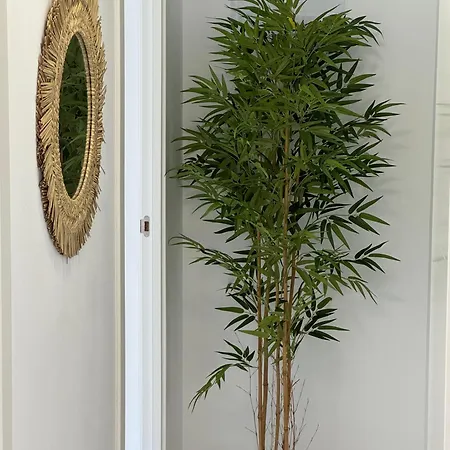Apartamento Departamento Diseno